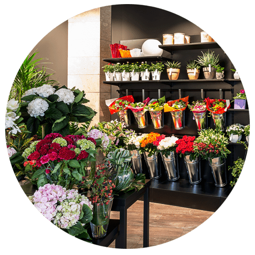 negozi-di-fiori-e-piante